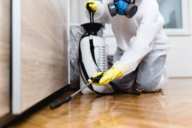 Professional Pest Control in Coker, AL