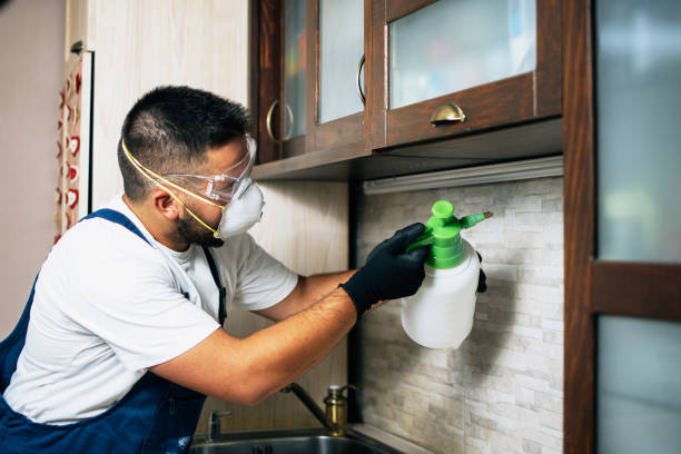 Professional Pest Control in Coker, AL