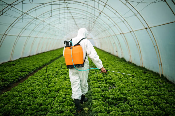 Best Pest Prevention Services  in Coker, AL