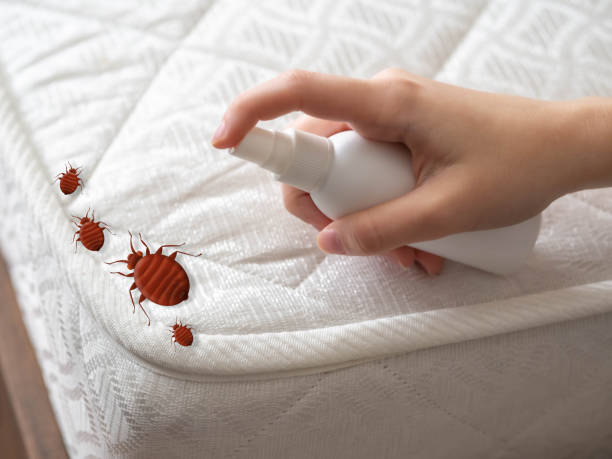 Best Pest Control Near Me in Coker, AL
